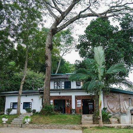 Welikande Yoga Retreats Otel Digana Dış mekan fotoğraf