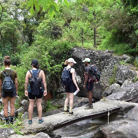 Welikande Yoga Retreats Otel Digana Dış mekan fotoğraf