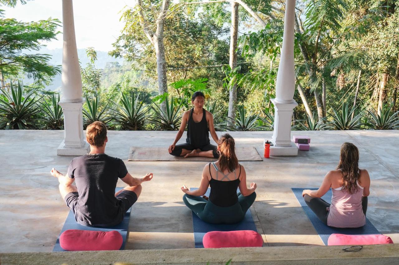 Welikande Yoga Retreats Otel Digana Dış mekan fotoğraf