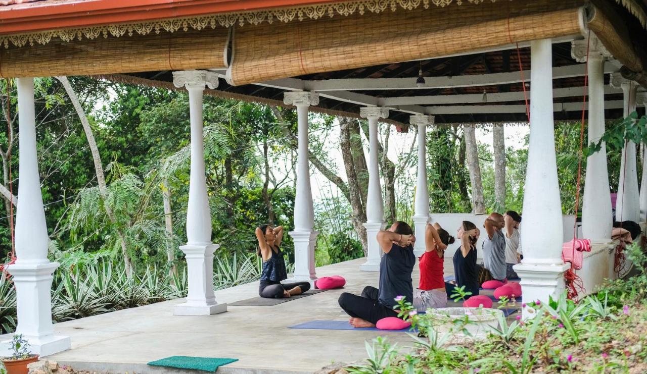 Welikande Yoga Retreats Otel Digana Dış mekan fotoğraf