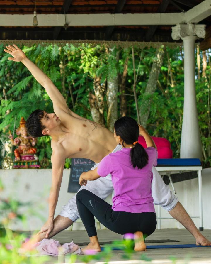 Welikande Yoga Retreats Otel Digana Dış mekan fotoğraf