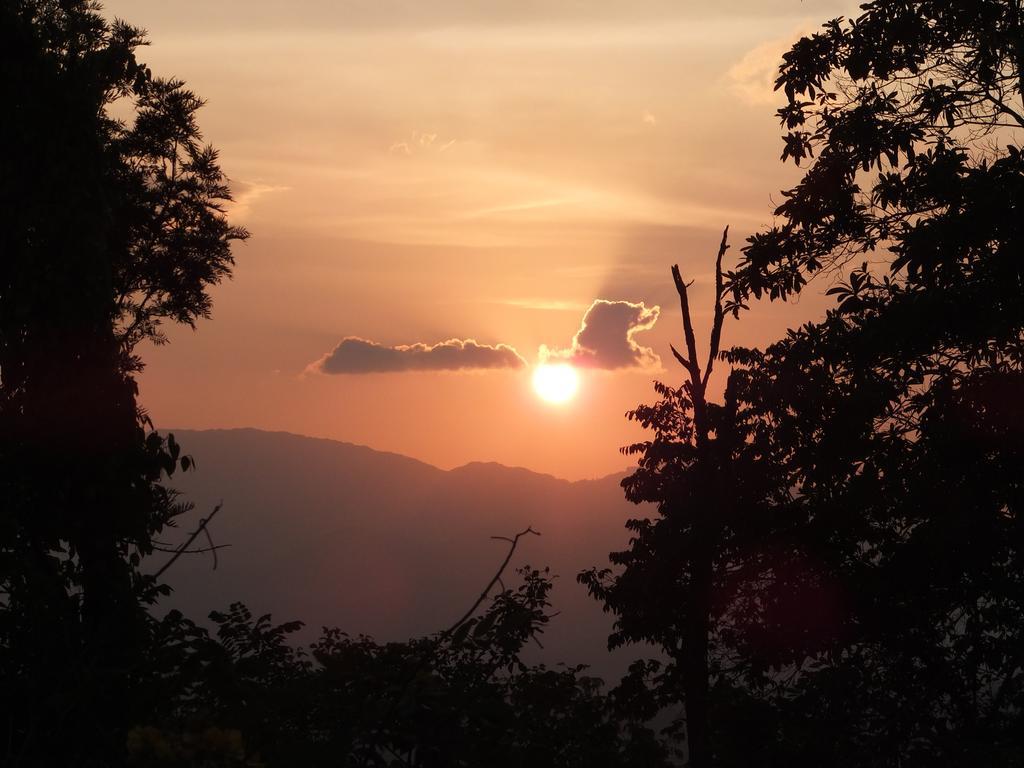 Welikande Yoga Retreats Otel Digana Oda fotoğraf