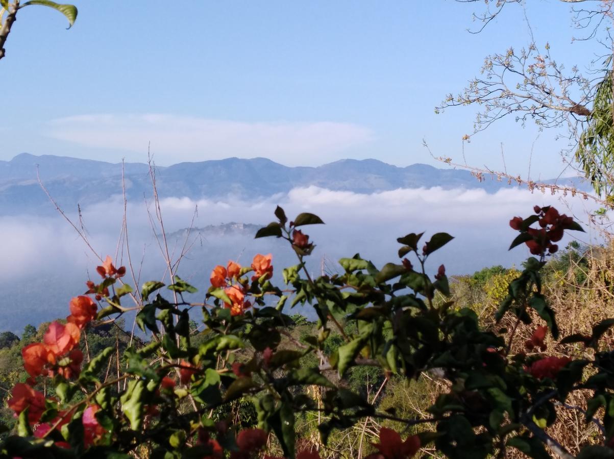 Welikande Yoga Retreats Otel Digana Dış mekan fotoğraf