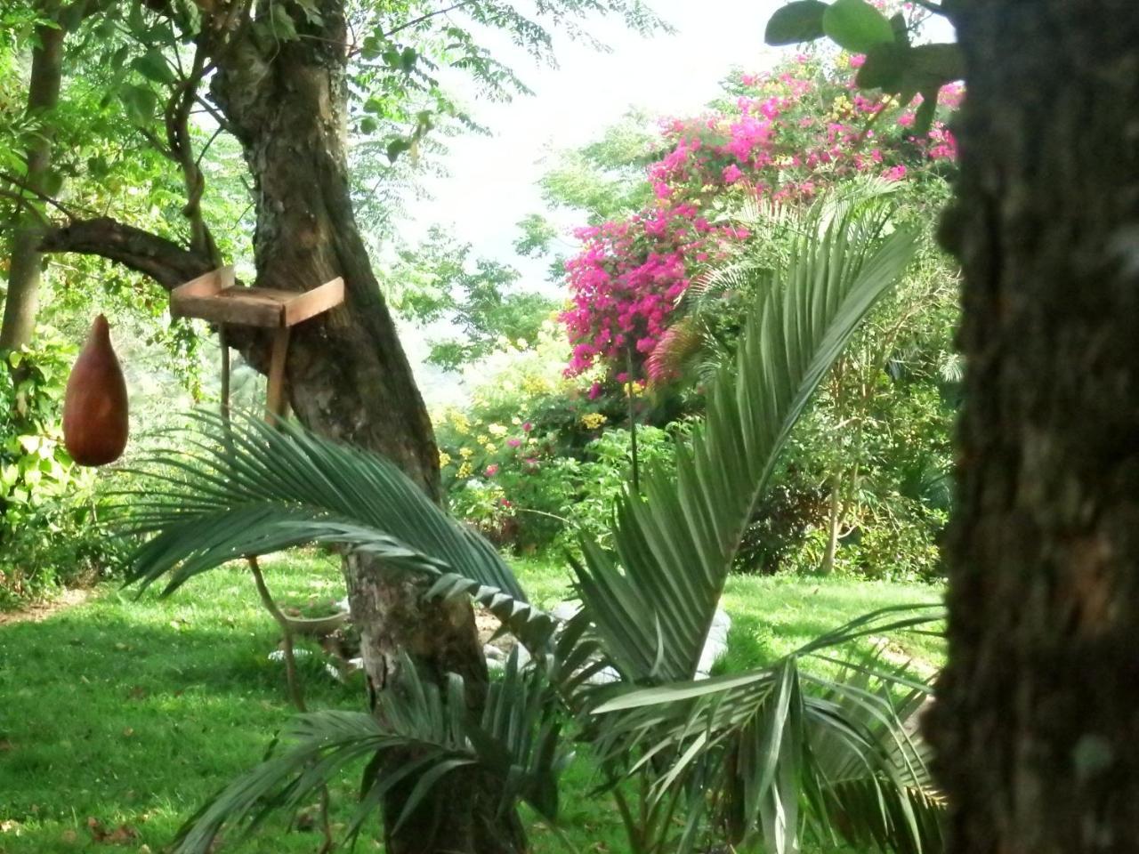 Welikande Yoga Retreats Otel Digana Dış mekan fotoğraf