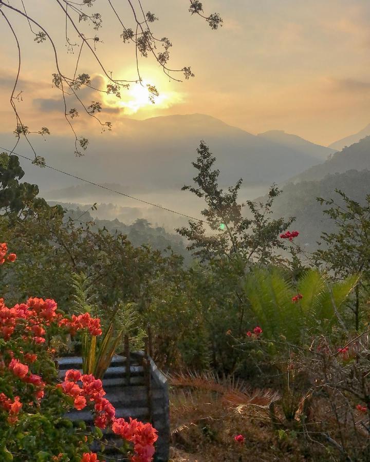 Welikande Yoga Retreats Otel Digana Dış mekan fotoğraf